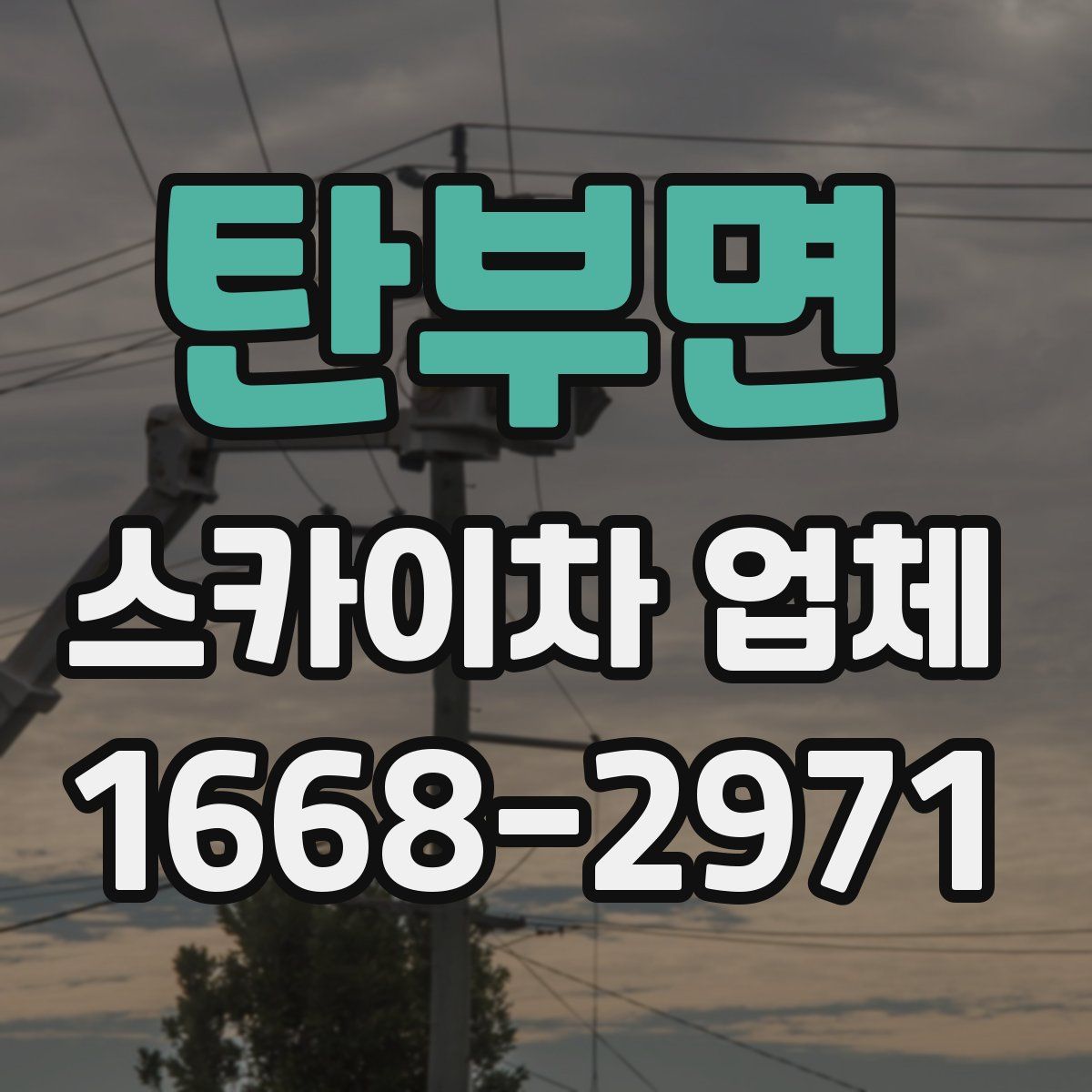 탄부면 스카이차 업체
