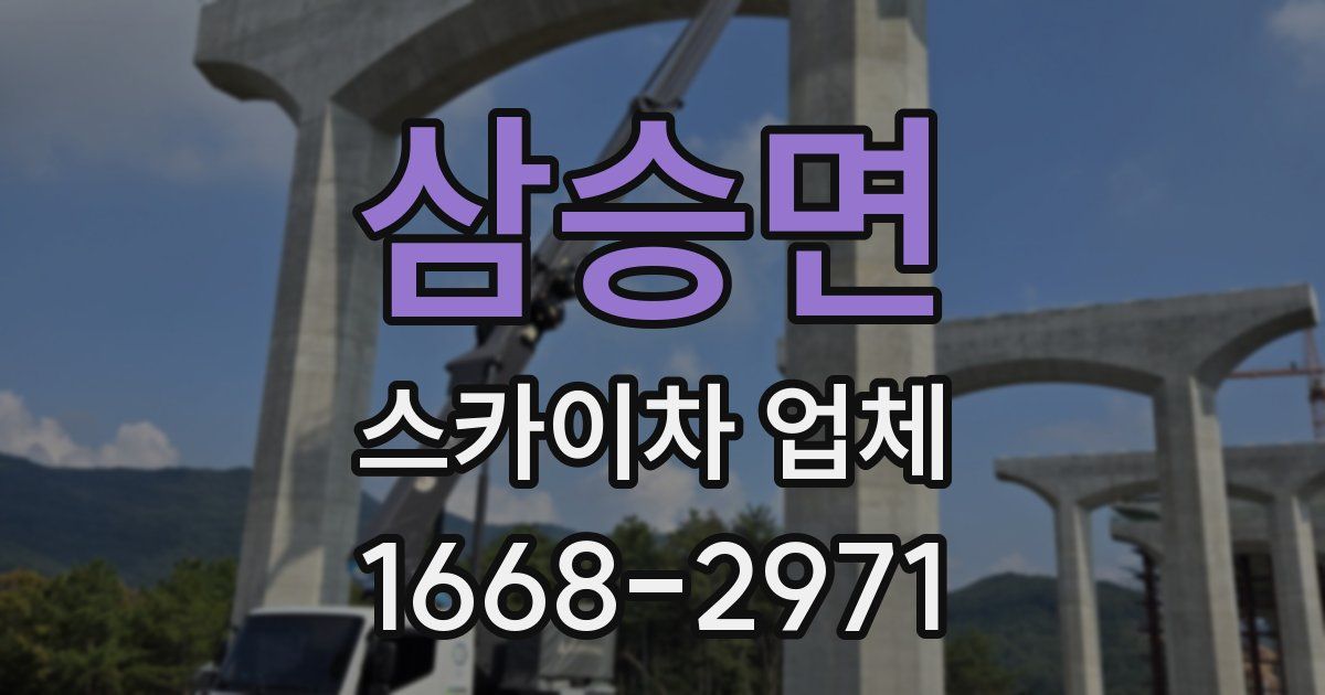 삼승면 스카이차 업체