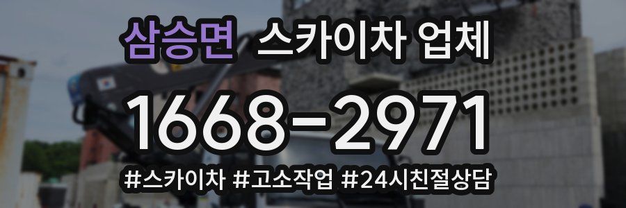 삼승면 스카이차 업체