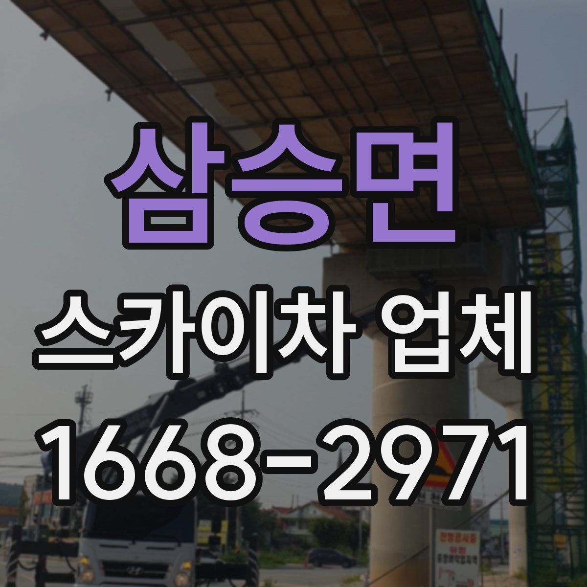 삼승면 스카이차 업체