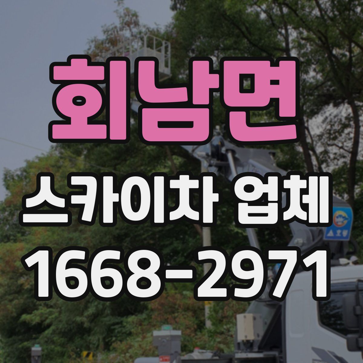 회남면 스카이차 업체