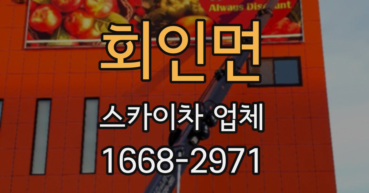 회인면 스카이차 업체