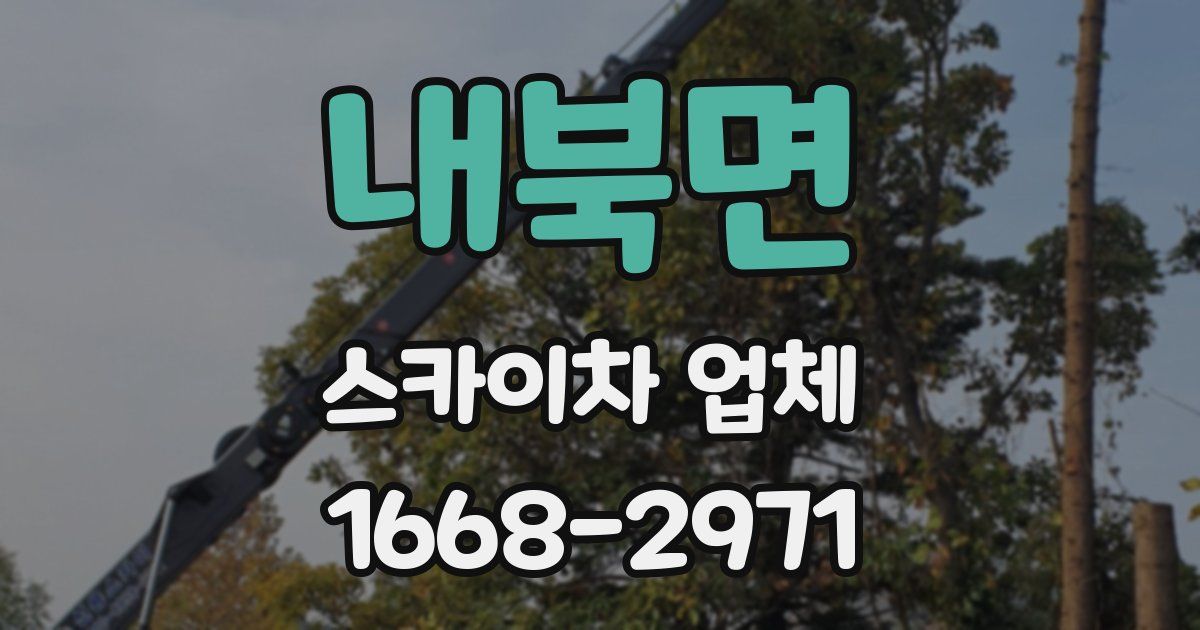 내북면 스카이차 업체