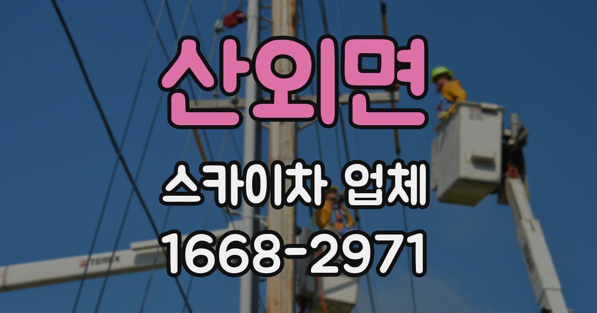 산외면 스카이차 업체