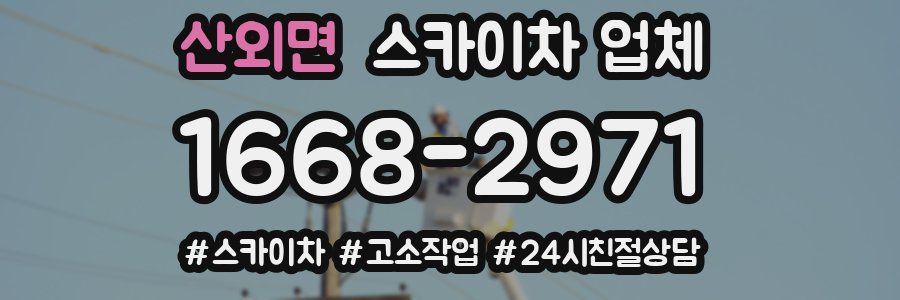 산외면 스카이차 업체