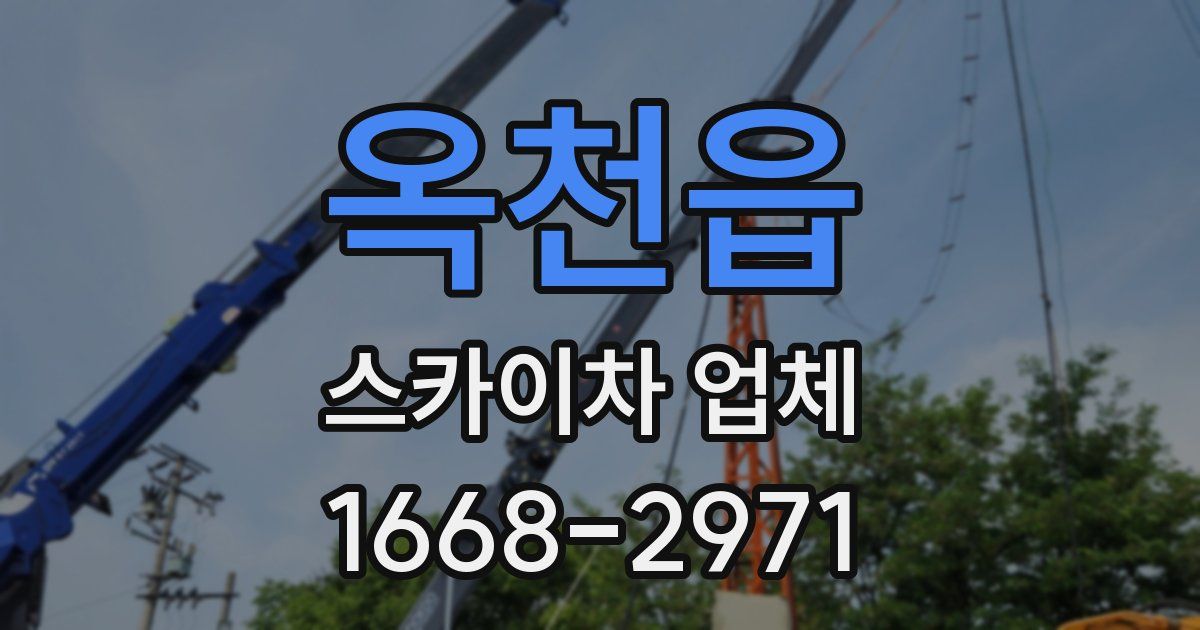 옥천읍 스카이차 업체
