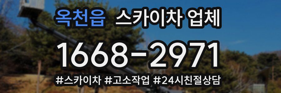 옥천읍 스카이차 업체