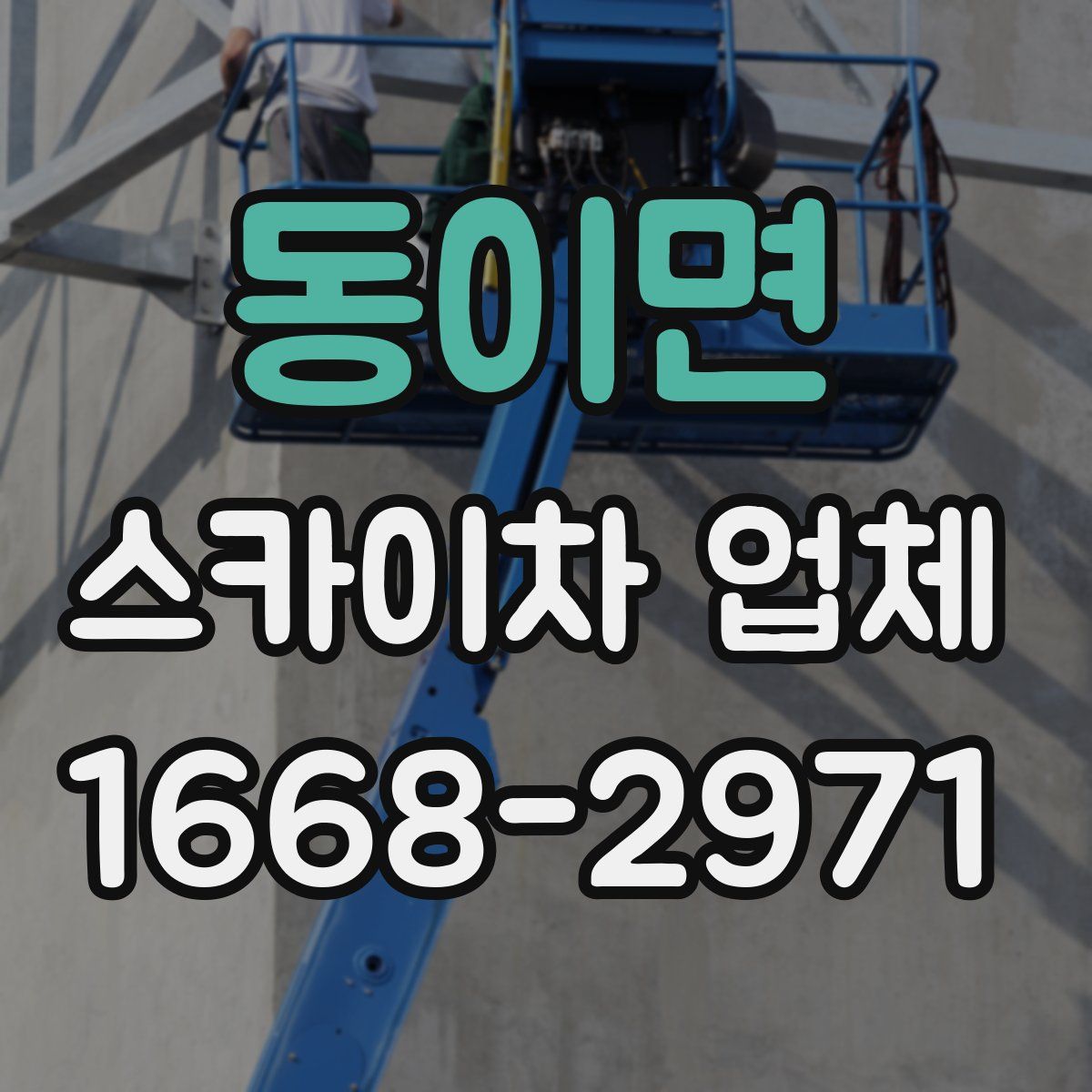 동이면 스카이차 업체