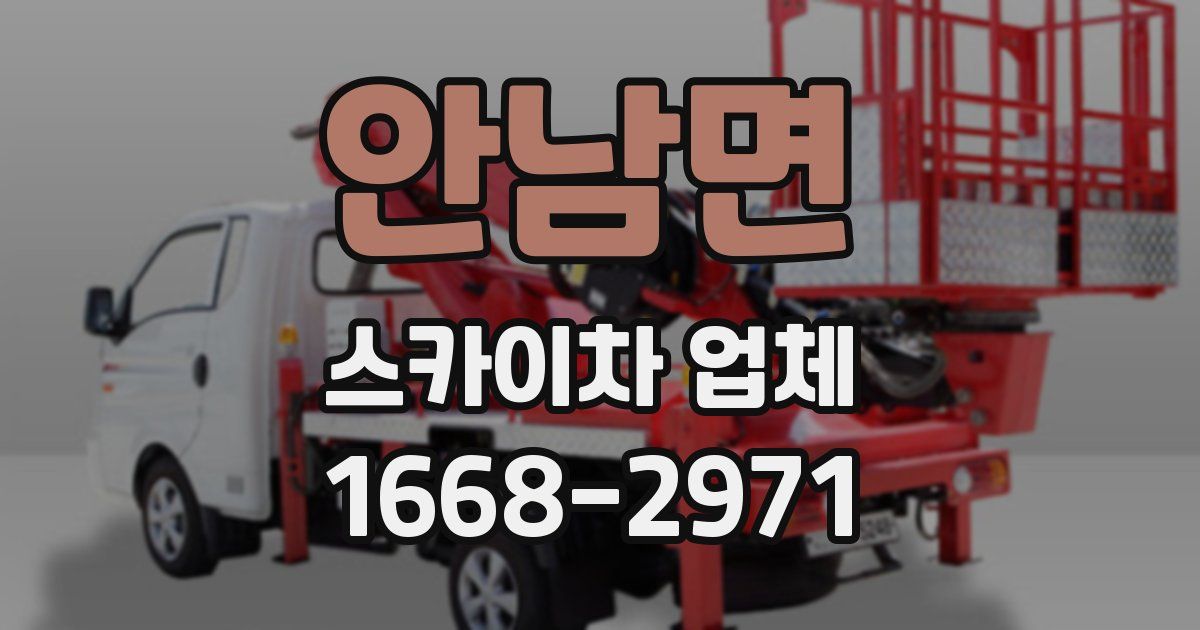 안남면 스카이차 업체