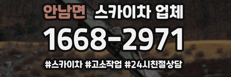 안남면 스카이차 업체