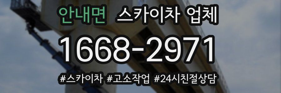안내면 스카이차 업체
