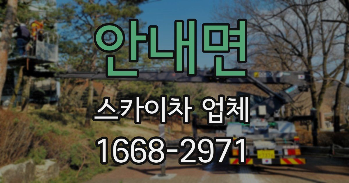 안내면 스카이차 업체