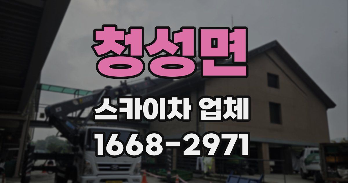 청성면 스카이차 업체