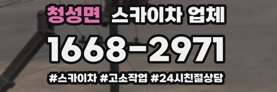 청성면 스카이차 업체