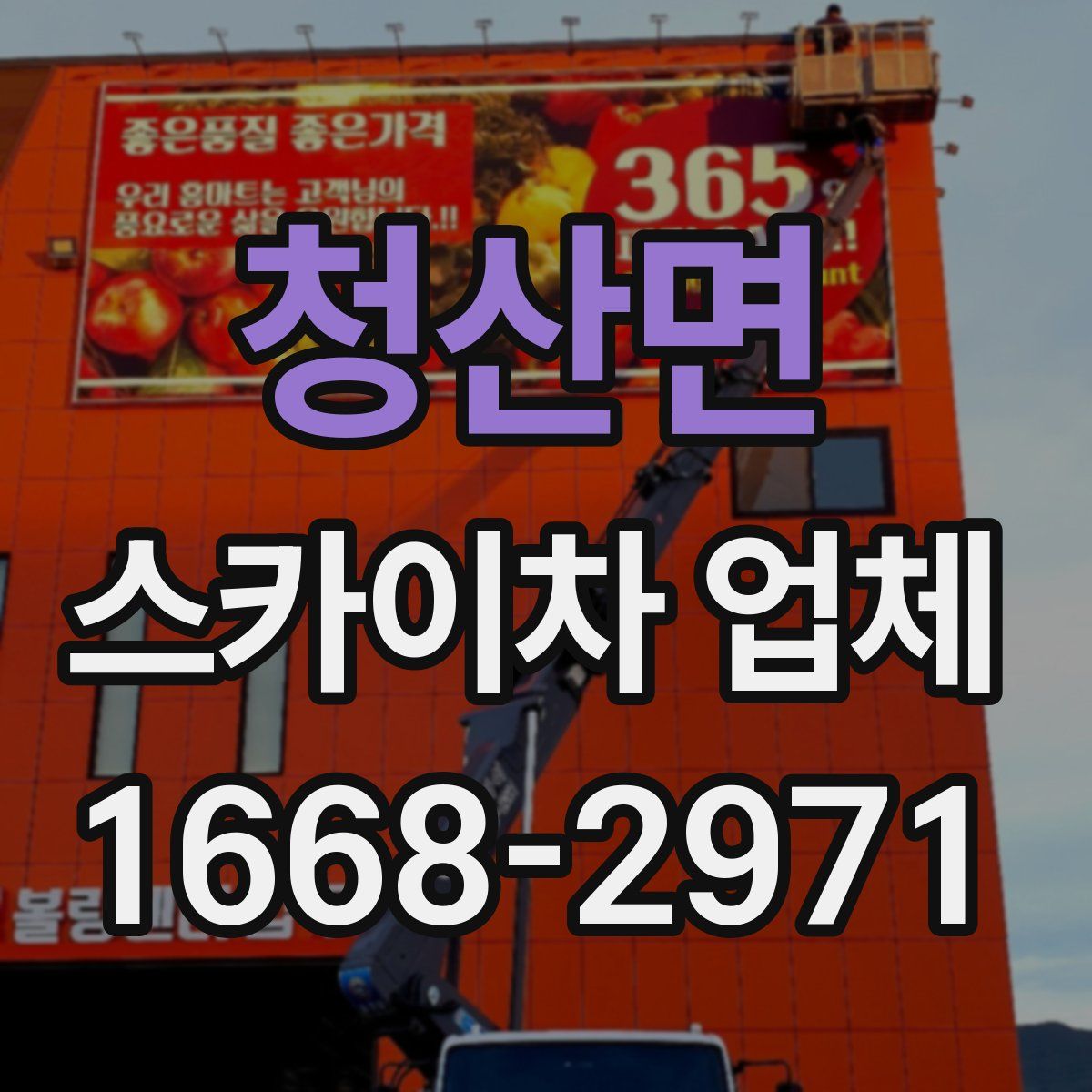 청산면 스카이차 업체
