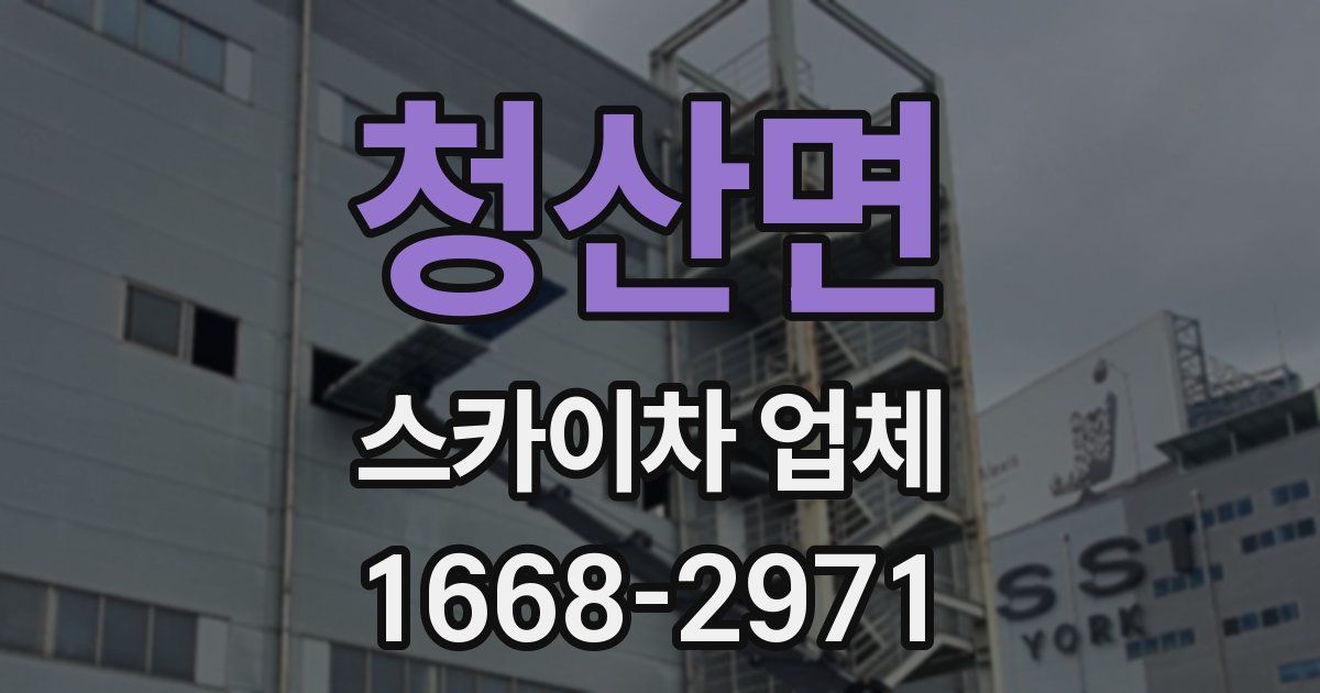 청산면 스카이차 업체