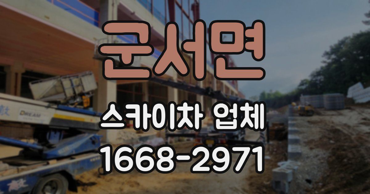 군서면 스카이차 업체
