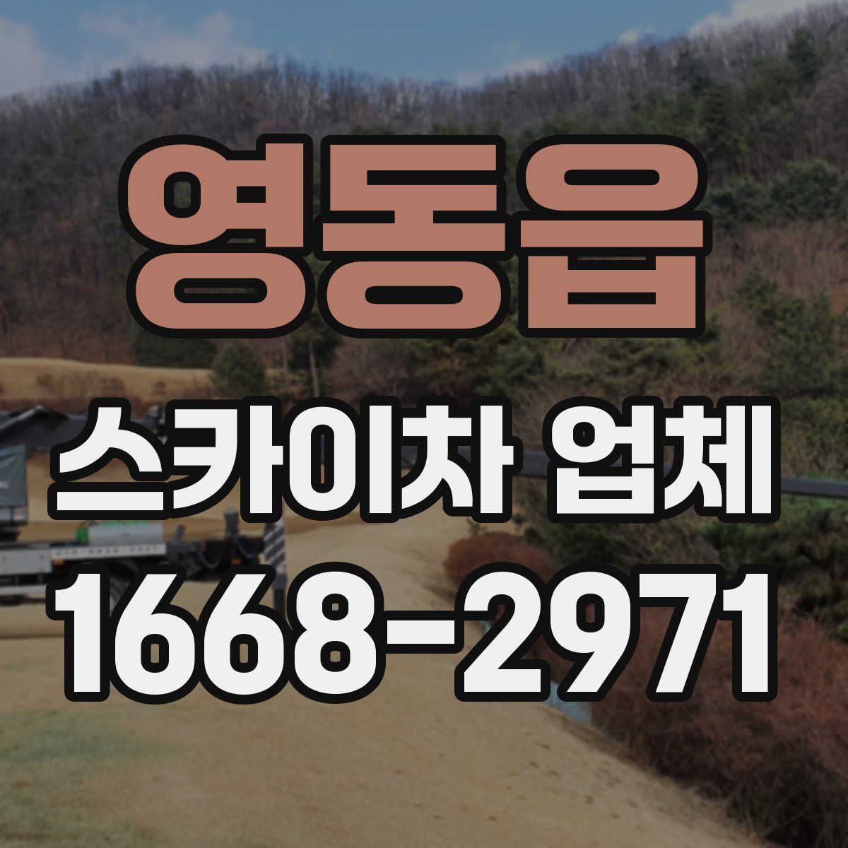 영동읍 스카이차 업체