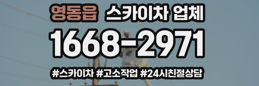 영동읍 스카이차 업체