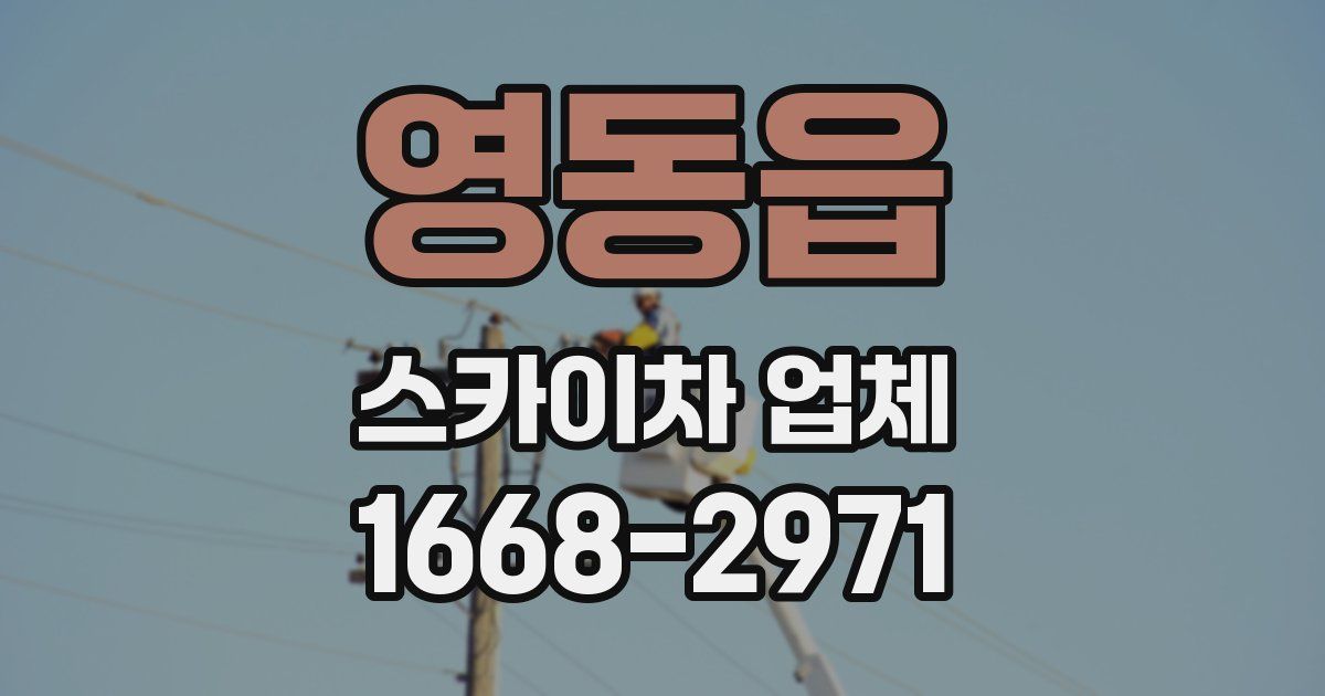 영동읍 스카이차 업체