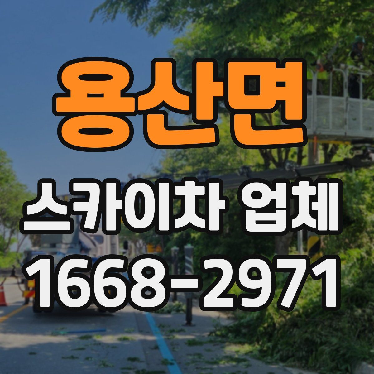 용산면 스카이차 업체