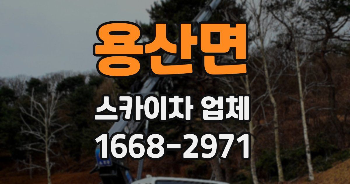 용산면 스카이차 업체