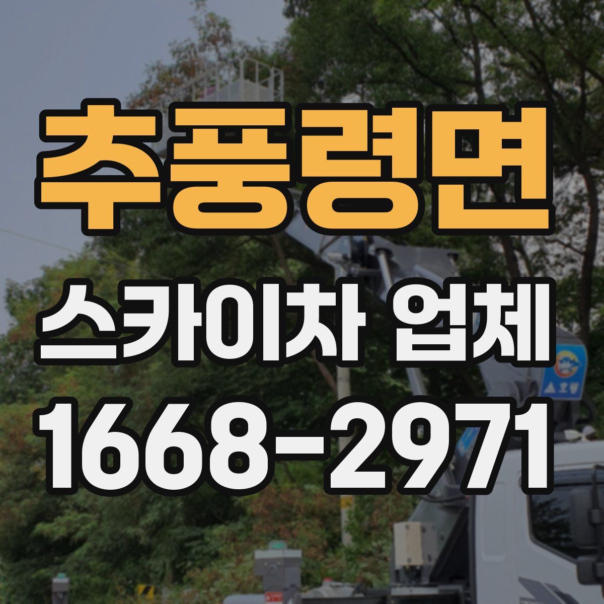 추풍령면 스카이차 업체