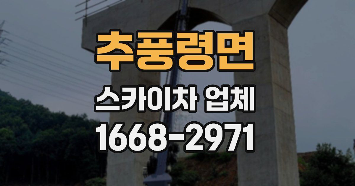 추풍령면 스카이차 업체