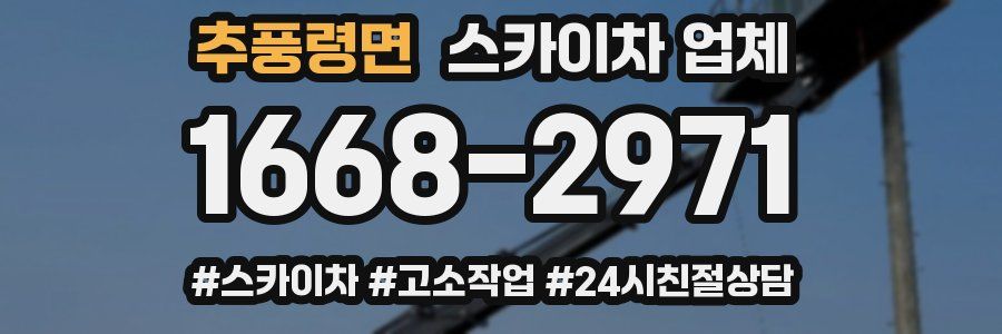 추풍령면 스카이차 업체