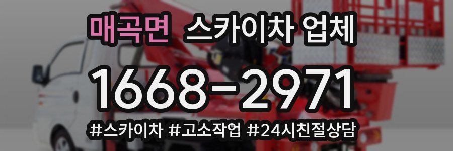 매곡면 스카이차 업체
