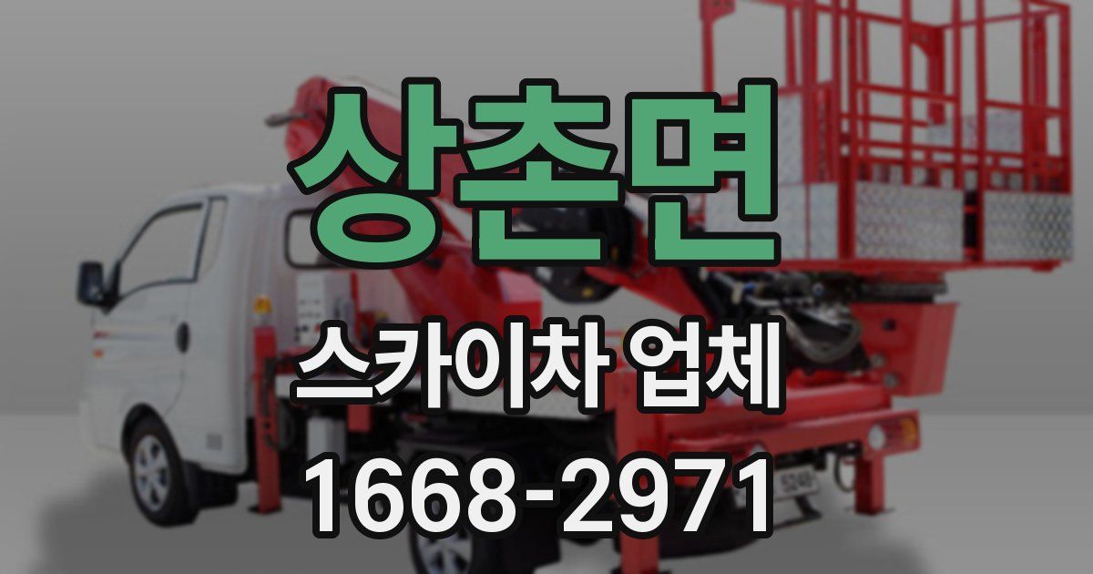 상촌면 스카이차 업체