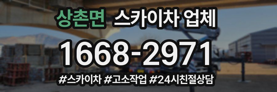 상촌면 스카이차 업체