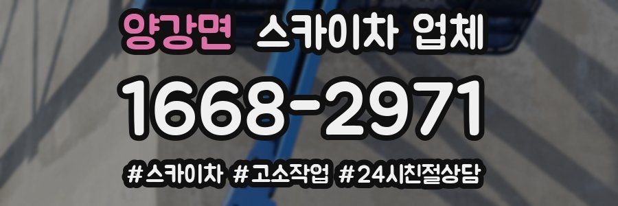 양강면 스카이차 업체