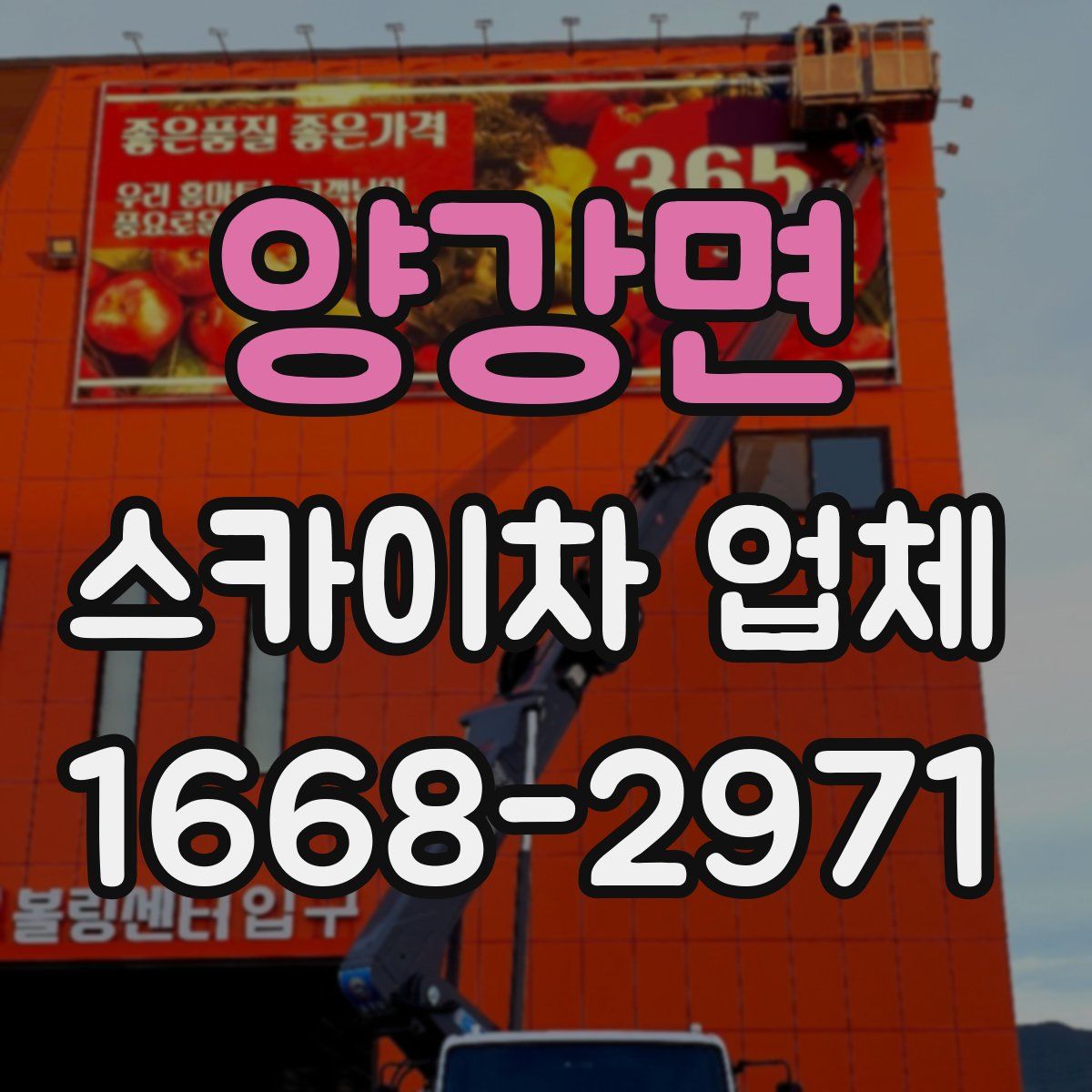 양강면 스카이차 업체