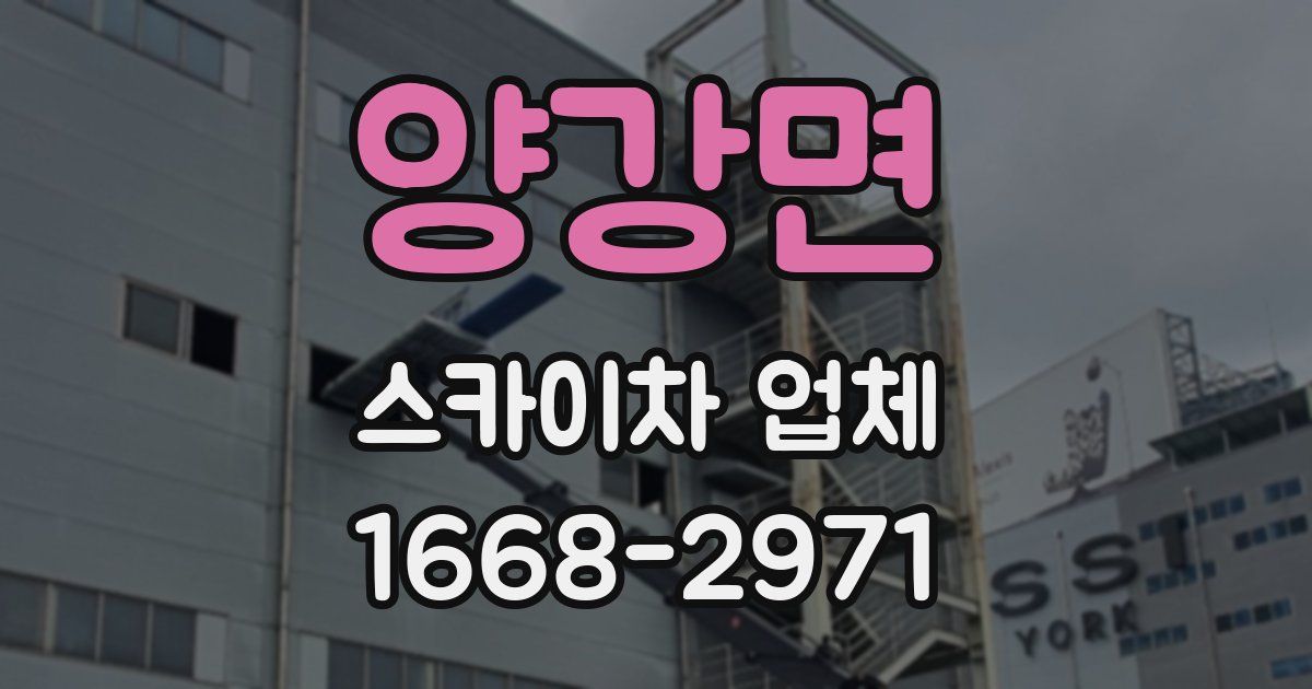 양강면 스카이차 업체