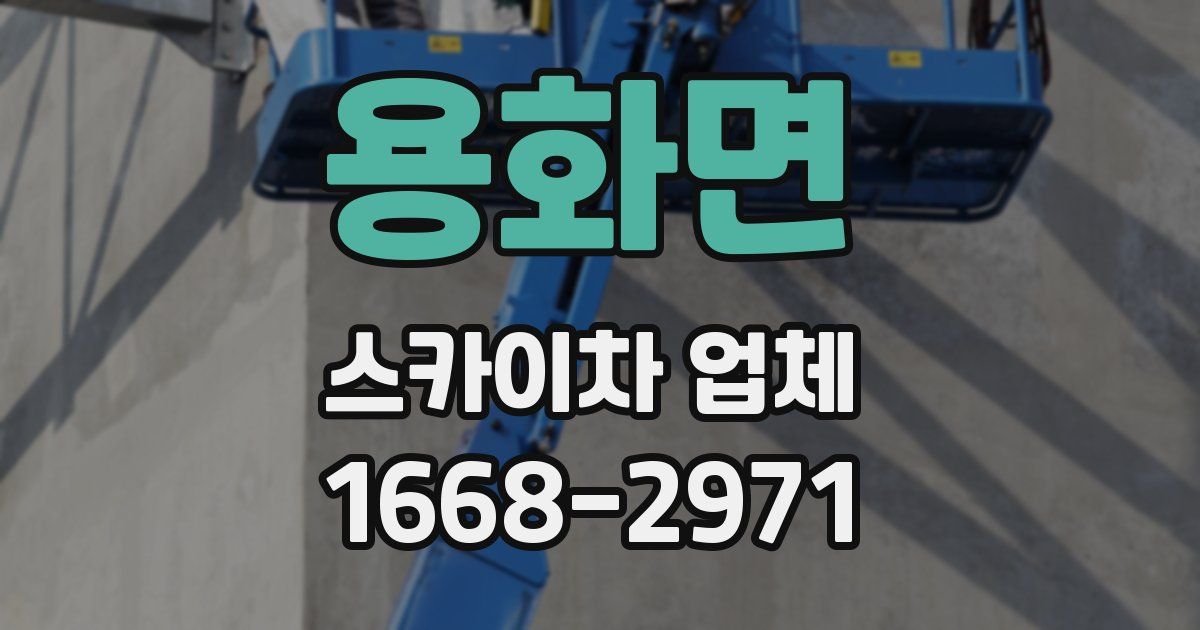 용화면 스카이차 업체