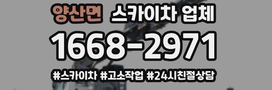 양산면 스카이차 업체
