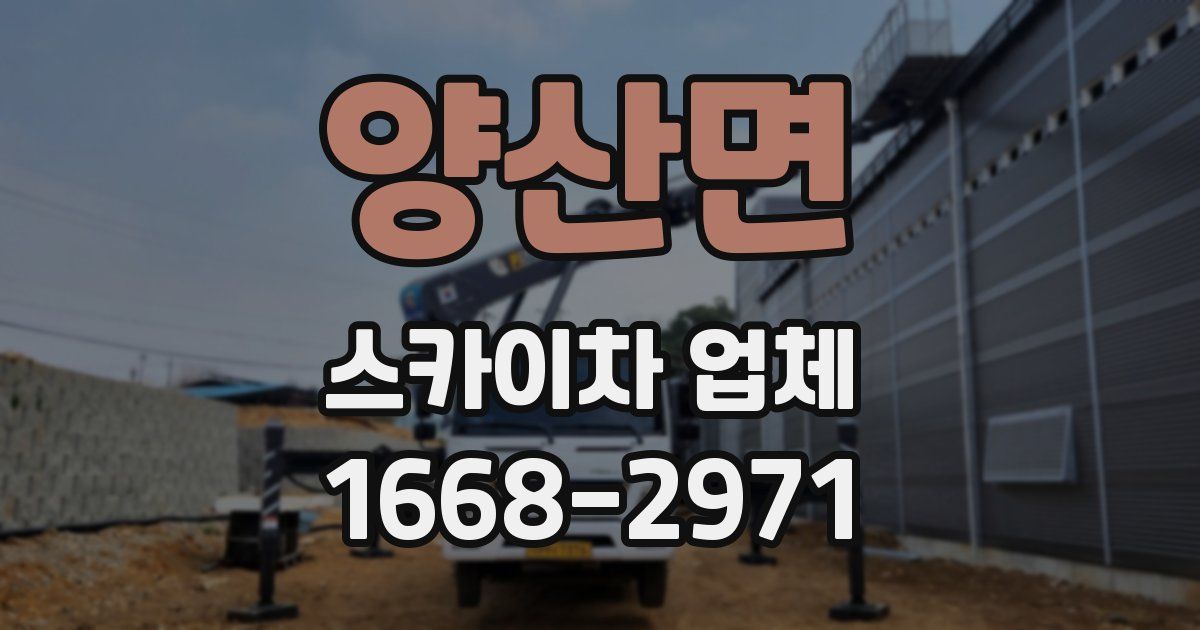 양산면 스카이차 업체