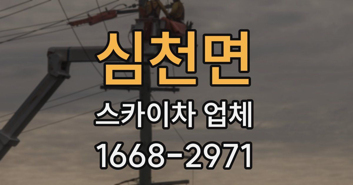 심천면 스카이차 업체