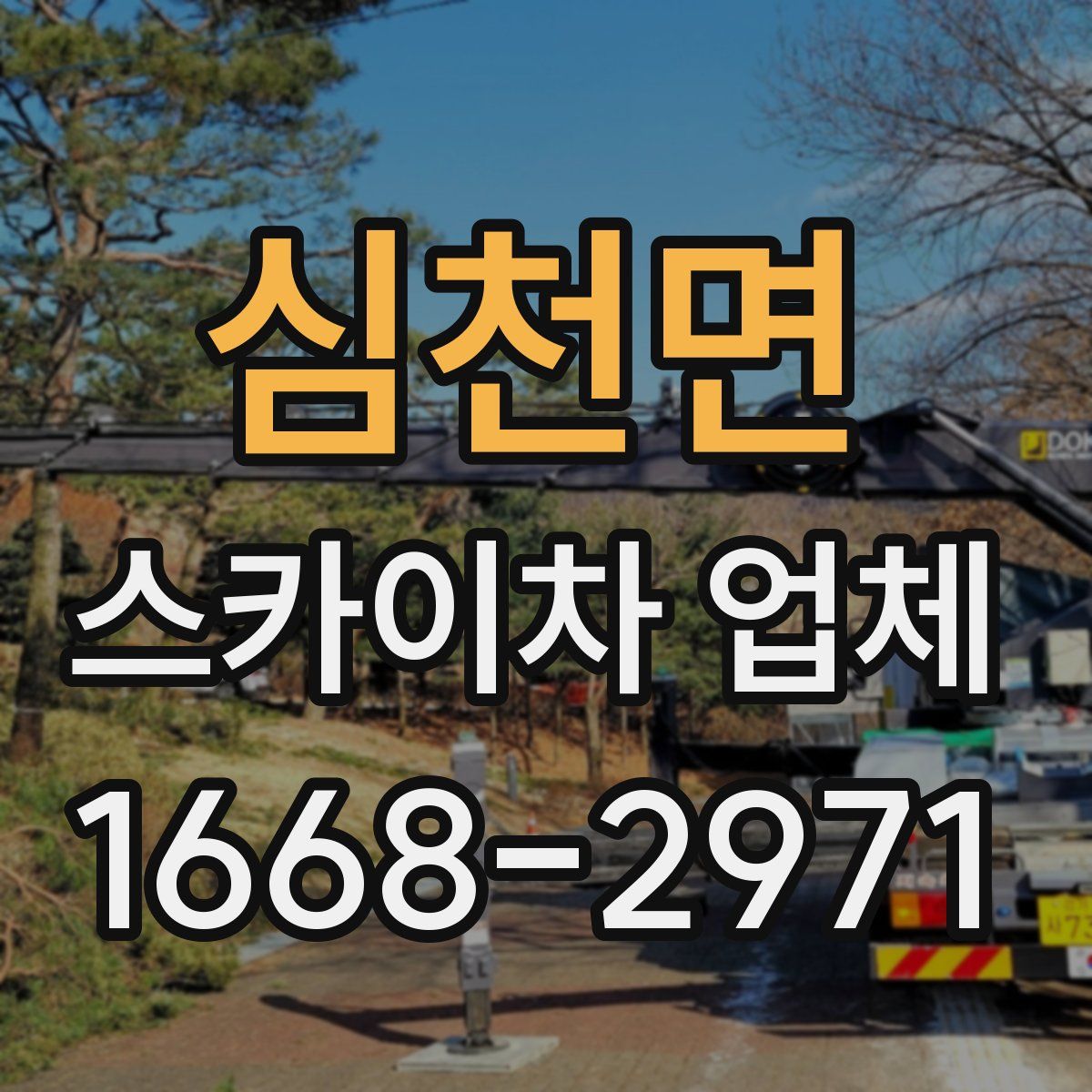 심천면 스카이차 업체