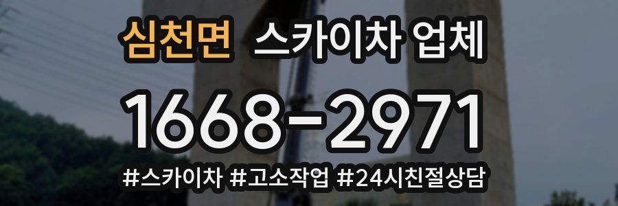 심천면 스카이차 업체