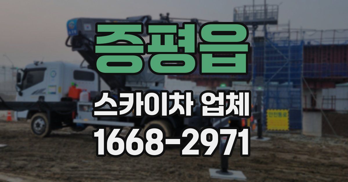 증평읍 스카이차 업체