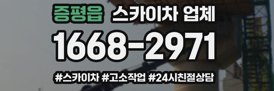 증평읍 스카이차 업체