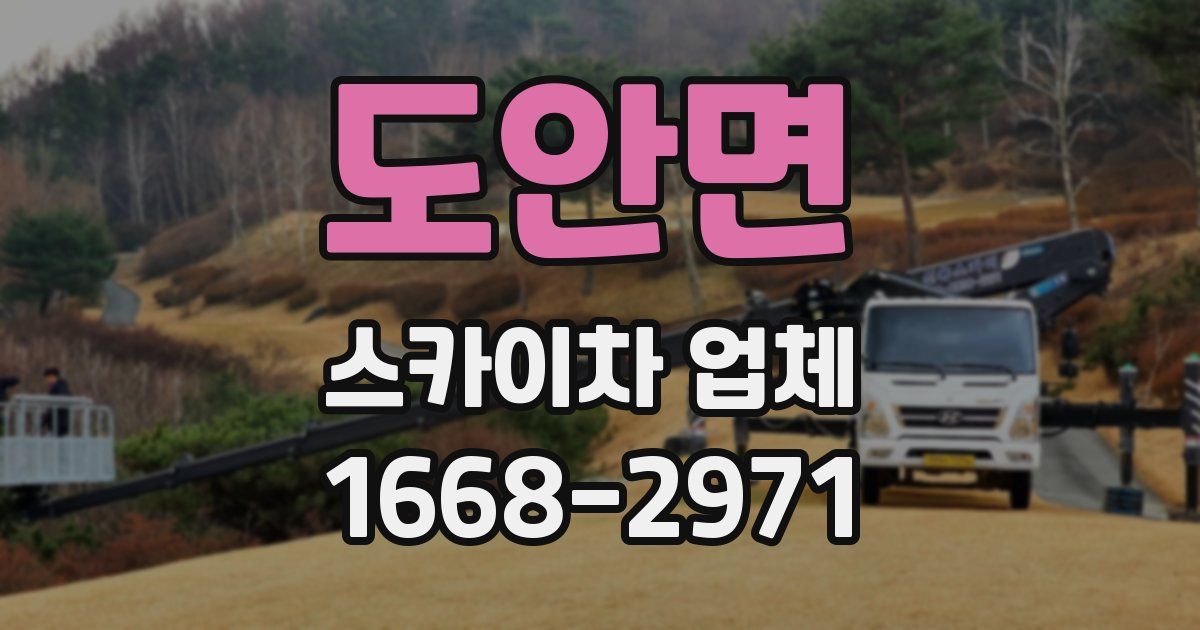 도안면 스카이차 업체