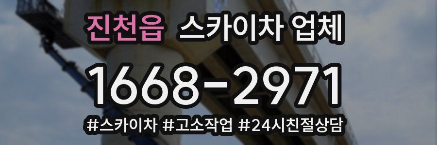 진천읍 스카이차 업체