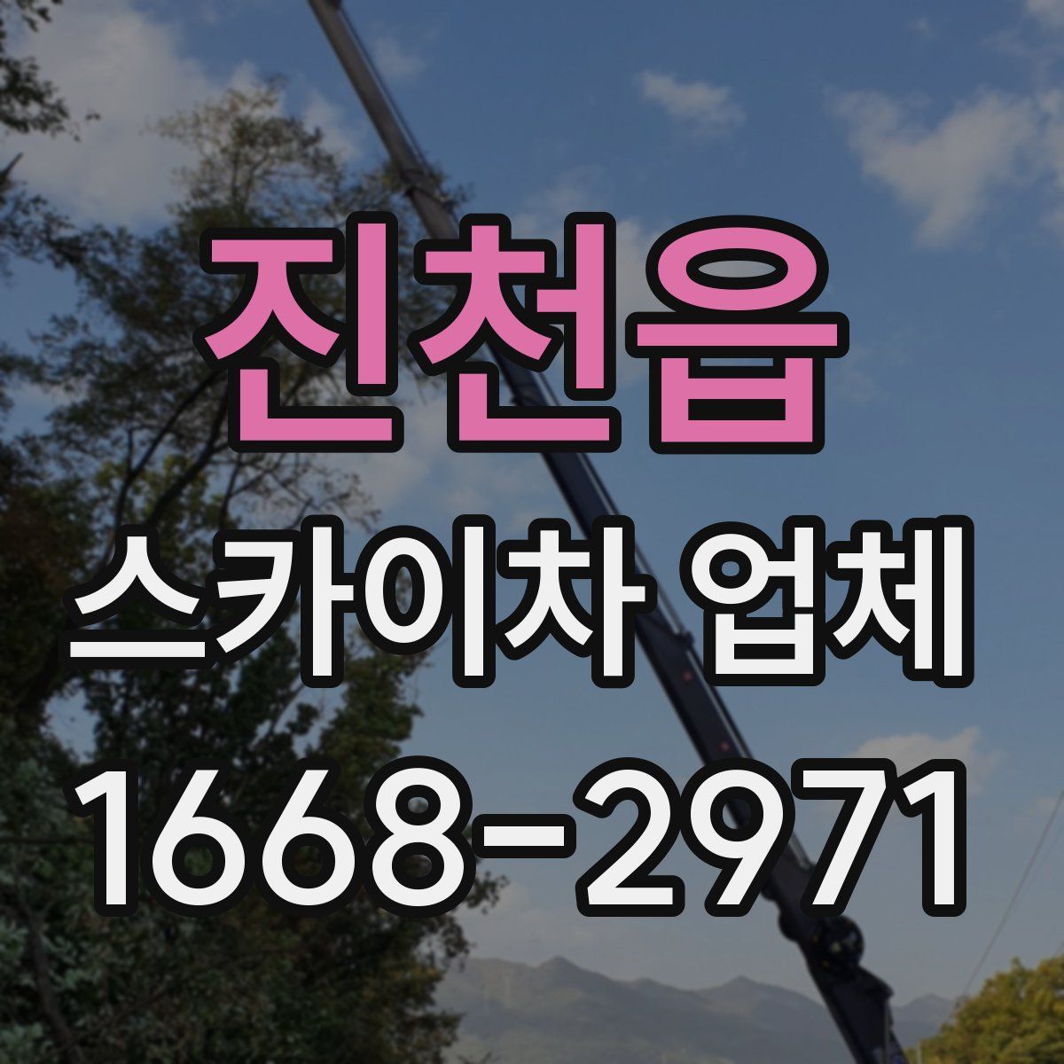 진천읍 스카이차 업체