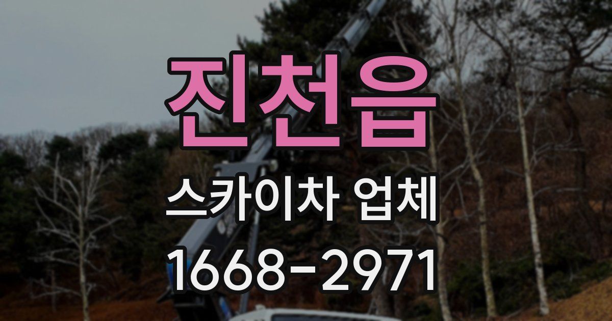 진천읍 스카이차 업체