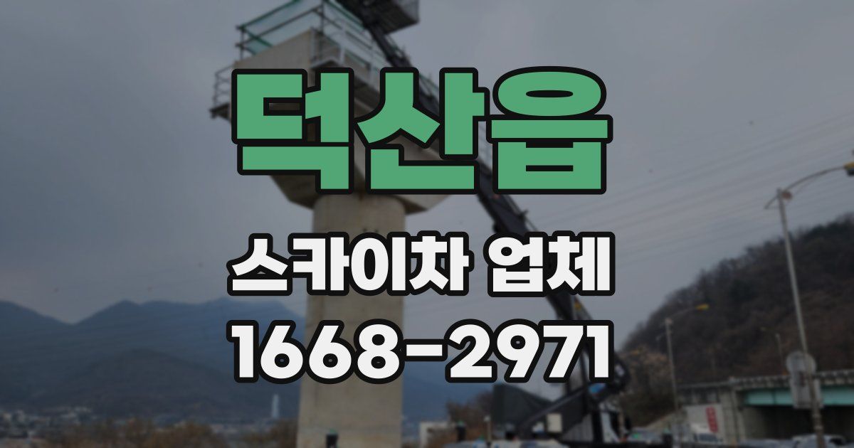 덕산읍 스카이차 업체