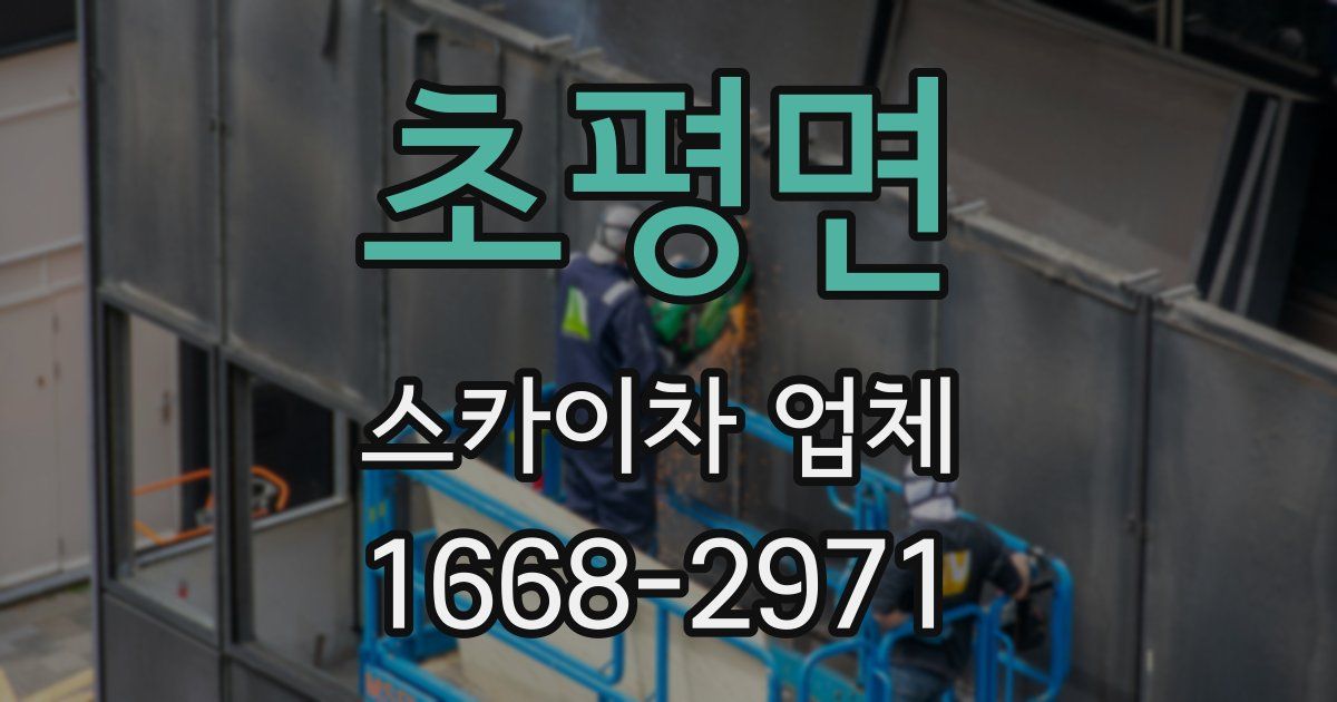 초평면 스카이차 업체