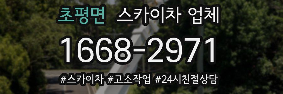 초평면 스카이차 업체